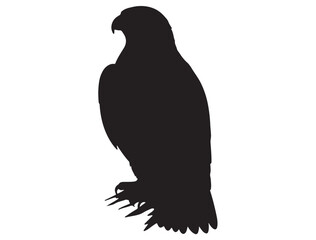  FALCON SILHOUETTE