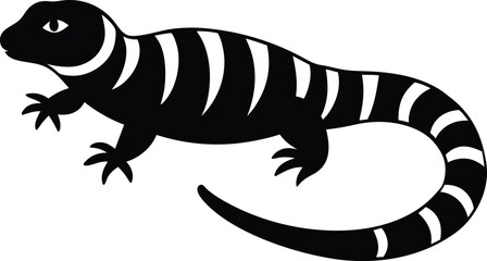 gila monster on white background.eps