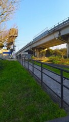 bridge in autumn