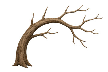 Obraz premium Bare tree branch arching gracefully, photorealistic 3d rendering against transparent backdrop, ideal for natural design projects
