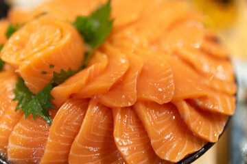 Japanese sashimi salmon fish meal. Seafood healthy organic