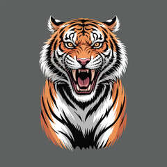 Roaring Tiger Head Illustration