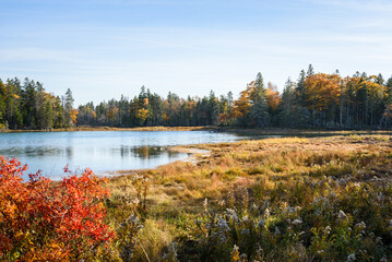 Coastal inlet in Maine on a sunny autumn day