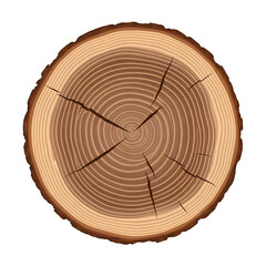 Tree trunk cross section with detailed growth rings texture Isolated Transparent PNG Image
