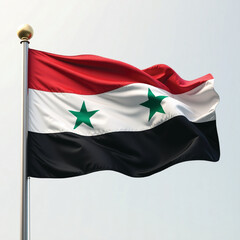 Naklejka premium flag of syria
