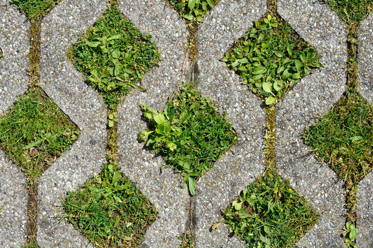 A top-down, close-up view shows a pattern of gray concrete pavers with diamond-shaped openings, where green grass and weeds are growing through the gaps