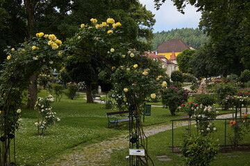 Rosarium in Bad Sauerbrunn, Burgenland, Austria
