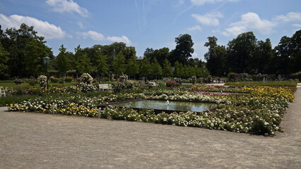 Rosarium in Doblhoff Park in Baden near Vienna, Lower Austria, Austria
