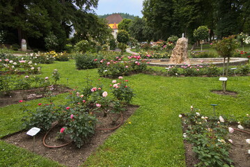 Rosarium in Bad Sauerbrunn, Burgenland, Austria
