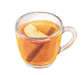 Watercolor apple cider with cinnamon stick and apple slice in a glass mug. Autumn hot drink