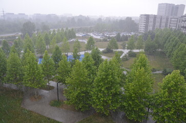 A city park in Krakow, Poland, on a rainy day, with wet pathways, glistening leaves, and overcast skies.