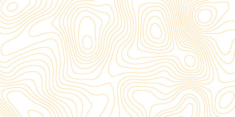 Topographic map background with geographic grid for hiking and mountain sport. luxury topographic wavy pattern and geographic grid map design. paper texture Imitation of a geographical map shades.