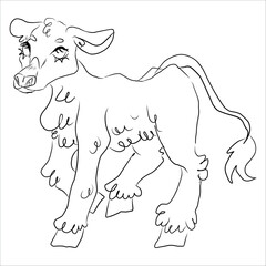 Cow, calf. Line art. Original style. Universal use. Logo design, for coloring books, prints on cups, sketchbooks, clothes. Cute cow with eyelashes. Black and white vector hand-drawn illustration.