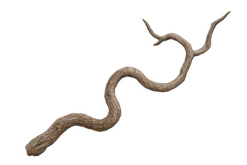 Isolated gnarled branch with a transparent background, ideal for photo manipulations and creative projects
