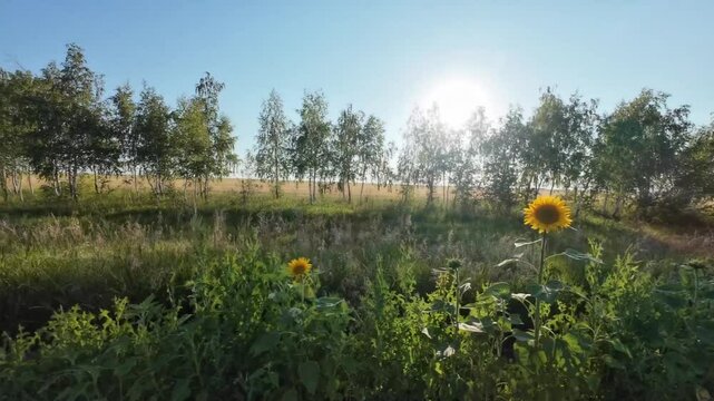 cycling in nature in wild places, bikepacking	
