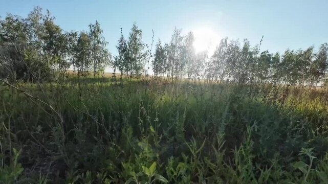 cycling in nature in wild places, bikepacking	
