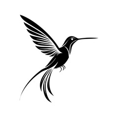 hummingbird in flight