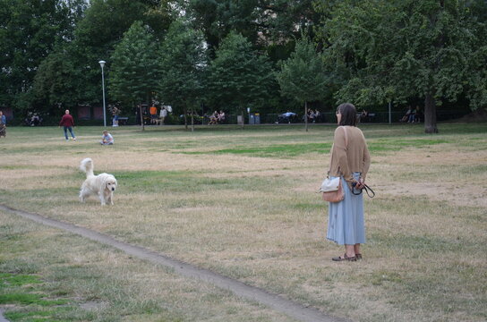 Woman with dog a walk outdoors.