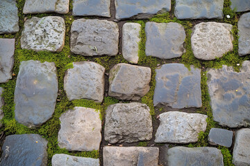 Obraz premium Detailed close-up of a weathered cobblestone street with green moss growing between the stones. The aged surface and natural texture convey a sense of history, nostalgia, and timeless urban charm. Ide