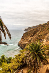 Paisaje en Rambla de Castro, Municipio de los Realejos, isla de Tenerife.