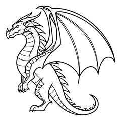 vector illustration of a black and white dragon