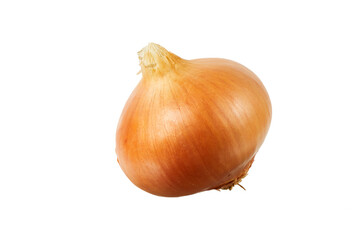 brown onion isolated on white or transparent png