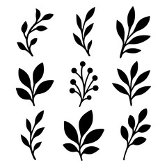 Fototapeta premium Modern botanical set vector art
