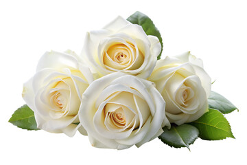 A cluster of delicate white roses with green leaves isolated on a transparent background