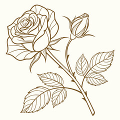 Luxury Golden Rose Line Art Background Vector Botanical Floral Illustration