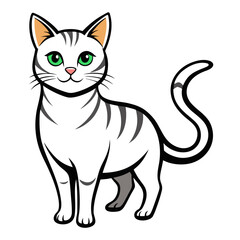 black and white cat