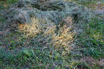 Pile of hay scattered on green grassy field under natural sunlight