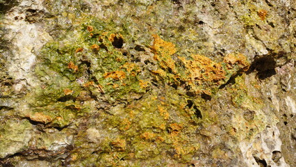 Green Orange Natural Stone