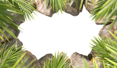 Tropic palm leafs holiday and rocks frame on transparent backgrounds 3d rendering png
