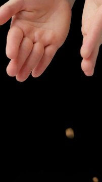 Hands pour raw uncooked vicia faba beans. vertical slow motion