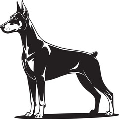 Black and white doberman pinscher vector illustration dog breed pet animal canine guard dog security dog art