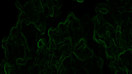 Abstract dark background featuring swirling green neon wisps and smoky, misty patterns over a black backdrop. Organic, ethereal effect resembling energy currents, plasma flow, or mystical fog
