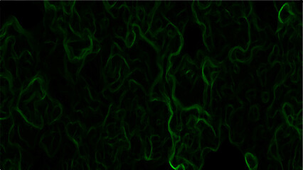 Abstract dark background featuring swirling green neon wisps and smoky, misty patterns over a black backdrop. Organic, ethereal effect resembling energy currents, plasma flow, or mystical fog