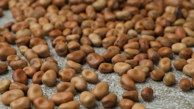 Dried Vicia Faba beans spread slow motion, source of vegetable protein