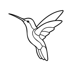 Hummingbird in flight with outstretched wings long beak isolated animal wildlife