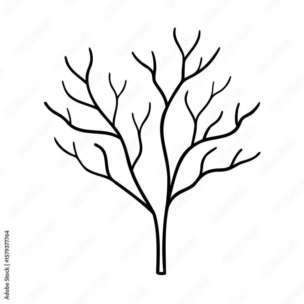 Poster tree branches on with thin lines simple design outline graphic