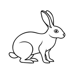 A sitting rabbit with long ears a small tail on hare bunny