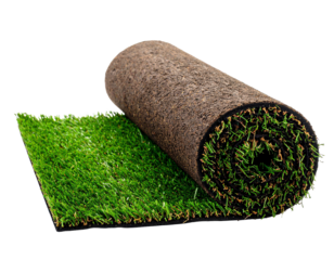 artificial turf, coating, roll of artificial green grass isolated on white background.
