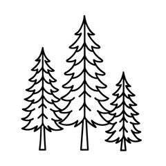 Outline three fir trees with varying sizes on a pine evergreen