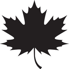 Black and white maple leaf vector illustration for autumn designs and canada day celebration clip art