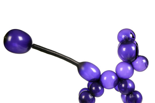 animal figure formed with balloons of various sizes