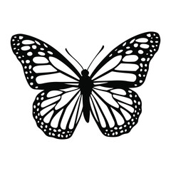 Butterfly Silhouette Vector Illustration  Design