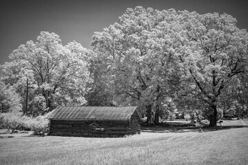 This striking black-and-white infrared photograph captures a rustic barn nestled in a serene countryside field, surrounded by lush, glowing trees under a dramatic sky , evoking timeless tranquility .