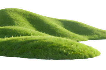 3D illustration of green grass isolated on transparent background,green grassy hills for poster banner cover design