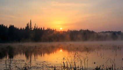 Misty sunrise over a tranquil lake with a dense forest silhouette