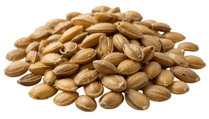 Pile of glistening, toasted barley grains, a nutritious cereal with a subtle nutty flavor isolated on transparent background